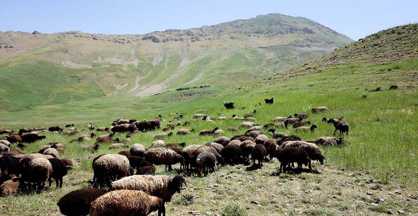 دشت لار دماوند اطراف تهران - همیار ملک