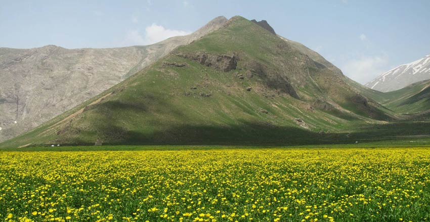 دشت لار دماوند اطراف تهران - همیار ملک