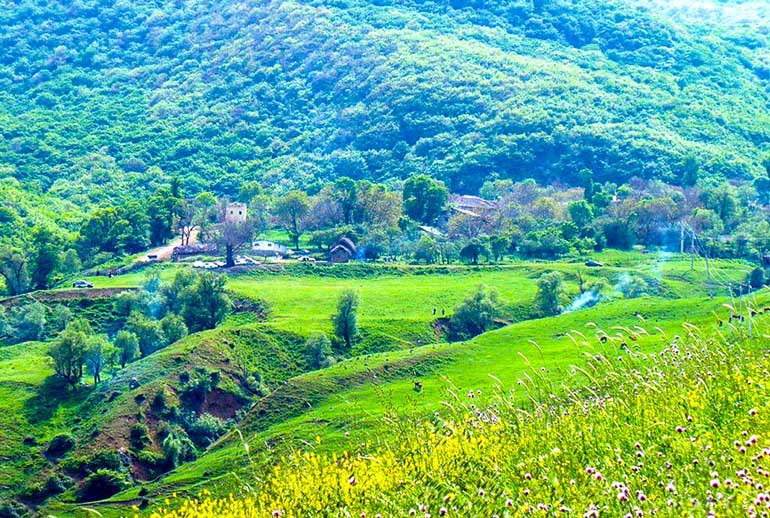 دشت هویچ - دشت گرچال - همیار ملک