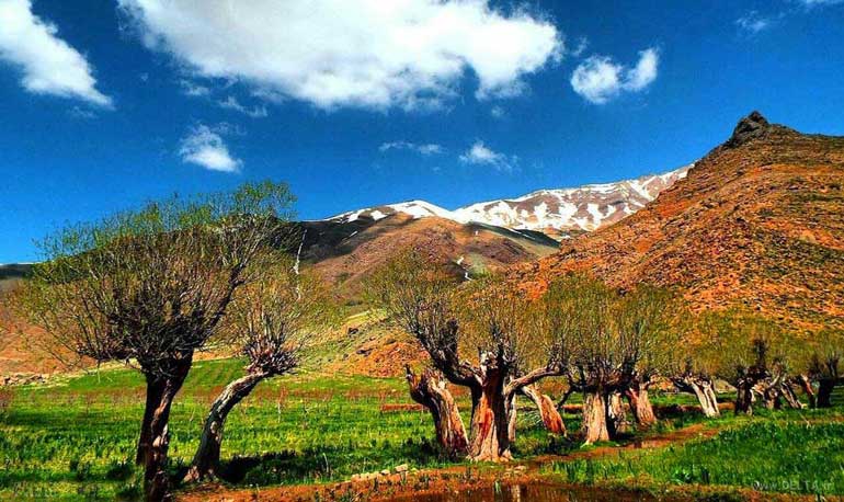 دشت هویچ - دشت گرچال - همیار ملک